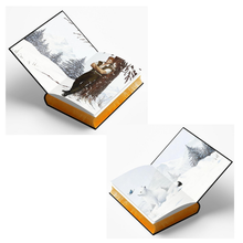 Load image into Gallery viewer, Brimstone (Deluxe Limited Edition) (Fae &amp; Alchemy, 2) - Callie Hart