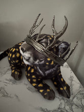 Load image into Gallery viewer, The Primal of Blood &amp; Bone Merch Box *PLEASE READ DESCRIPTION*