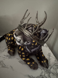 The Primal of Blood & Bone Merch Box *PLEASE READ DESCRIPTION*