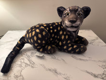 Load image into Gallery viewer, Cave Cat