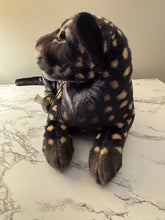 Load image into Gallery viewer, Cave Cat