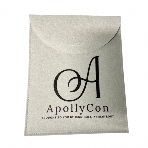 GRAY - AC Felt Book Bag