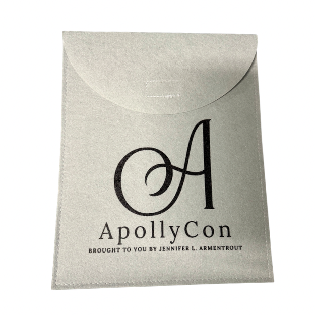 GRAY - AC Felt Book Bag